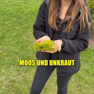 Mach diesen einen Fehler im Frühjahr und Moos sowie Unkraut feiern immer wieder ein Comeback! 🌱❌ #GartenTipps #rasenpflege #lawncare #grünerdaumen