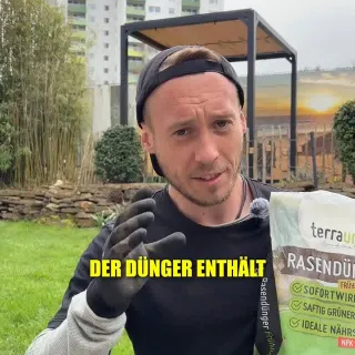 Bye-bye Moos! So räumst du deinem Garten wieder Luft zum Atmen ein 💨🌱 #Gartenliebe #raesntipps #lawncare