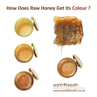 🍯How Does Raw Honey Get Its Colour? 🌼

Raw honey will vary in colour and taste, depending on the region where it is harvested. The differences arise due to the flowers that the bees feed on and becaus