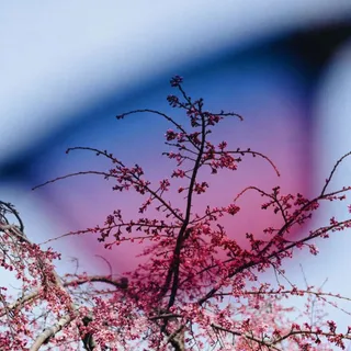 A quick trip to Japan w/ @hughjchambers 

#japan #japaneasthetic #filteryourworld #tens