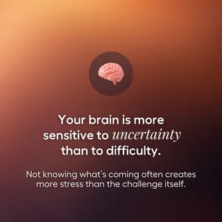 We often think stress comes from having too much to handle, but sometimes it starts even earlier, in the space where nothing feels certain yet. 

When the brain can’t predict what’s coming next, it st