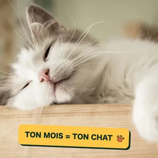 Social post