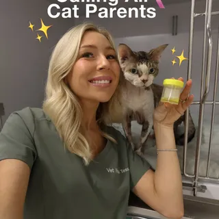 Cats are very good at hiding when something’s wrong… we see it all the time in clinic. 🐱🩺👩🏼‍⚕️
Often the first signs are small changes, especially around things like urination, and they can be easy to