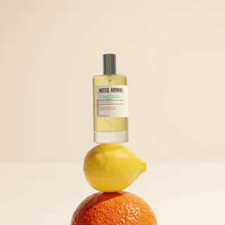 As the sun begins to show, it’s the perfect time to refresh your scent.

Introducing Zanzibar, inspired by Imagination - opening with radiant citrus, softening into black tea, and settling into warm w