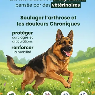 notre routine repas c'est de protéger les articulations de notre gros dinosaure. la gamme @vitamiifrance c est satisfait ou remboursé. et vous avez 20% supplémentaires grâce au code ROMEO20.  si vous 