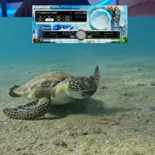 🐢😡🦪💥 

all sounds made with State Machine: Frutiger Aero by @cradle.app (comes with a 14 day free trial)! 
Video credit: @tanyaaarrr 
#sounddesign #turtle #frutigeraero