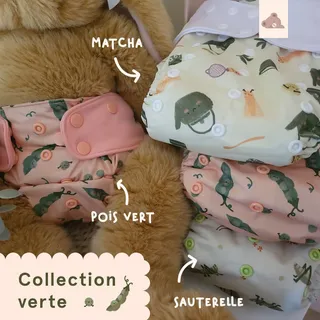 Rappel 🌿
 Notre 𝐜𝐨𝐥𝐥𝐞𝐜𝐭𝐢𝐨𝐧 𝐯𝐞𝐫𝐭𝐞 est encore dispo!
 𝐏𝐨𝐢𝐬 𝐯𝐞𝐫𝐭, 𝐓𝐡é 𝐦𝐚𝐭𝐜𝐡𝐚 et 𝐒𝐚𝐮𝐭𝐞𝐫𝐞𝐥𝐥𝐞 partent déjà dans nos tailles les plus populaires.
 Lien : https://lapetiteourse.ca/

#coucheslavables #couchesr