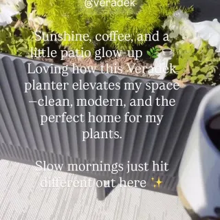 Little details that make a big difference 🤍
Obsessed with how these @veradek planters elevated my space 🪴✨Ready for Spring time !
Would you add these to your home? 🌿

#veradek #homeaesthetic #plantsty