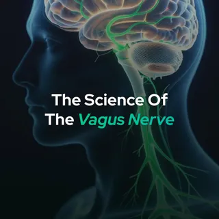 The internet says you can “hack your vagus nerve” to cure anxiety, fix your gut, and reset your entire nervous system. 👉 Reality? It’s a bit more complicated than that.

Modern vagus nerve stimulation