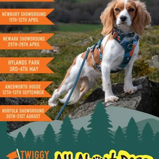 SHOW SEASON IS NEARLY HERE! 🎪 

T-minus 1 week till we set up for our first outdoor event of the year! 🐕 

We will be attending EVERY SINGLE allaboutdogsshow this year! 🙌🏻

We can’t wait to see you th