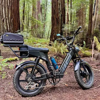 Who is ready for camping soon?