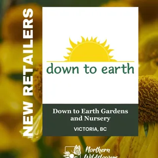 We’re excited to welcome lots of new retailers that will be carrying our seeds in 2026, making it even easier to shop local and find our varieties in person.

To find more retailers that stock our see