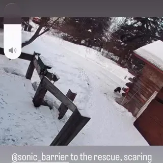 Many thanks to Jessica for her video on our dog repeller!

https://sonic-barrier.us/products/k9-shield