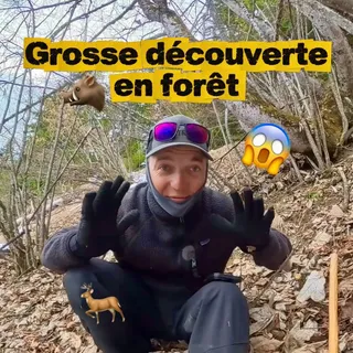 Je ne suis pas chasseur… mais j’ai un immense respect pour la nature et pour la viande sauvage française 🦌🇫🇷

Aujourd’hui, en pleine forêt, je découvre un rôti de cerf… et surtout l’histoire de @nemro