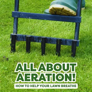 Is your lawn looking a bit tired, patchy or waterlogged? 👀

It might not be what you’re doing on top, but what’s happening underneath.

Compacted soil is one of the most common reasons lawns struggle 