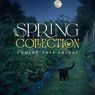 Our highly anticipated Spring Collection... arriving this Friday at 10am 🌙🌿🖤