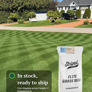 🌱Spring 2026 is open. Everything is stocked and shipping free across Canada.
.
A lot is new this year: seed + starter fertilizer bundles, a new turf-type tall fescue (Southside), a redesigned SeedLaun