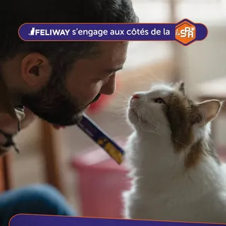 Chaque chat mérite de se sentir en sécurité. Chez soi… comme au refuge 🐾

C'est pourquoi Feliway s'engage aux côtés de la SPA : pour chaque boîte Feliway Optimum achetée chez votre vétérinaire, 1€ est