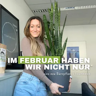 Jaja, das war unser Februar 😊
PS: die Büropflanze bräuchte noch einen Namen 👀