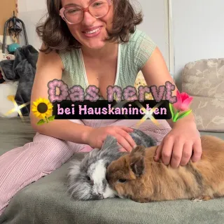 Werbung | „SVENJA“ 👉 gibt euch grade einen großen Rabatt auf den Levoit Lvac 300. Link in Bio.

Das ist ein Akku-Staubsauger mit 
🌸Hepa-Filter, 
🌸Anti-Verwicklungsbürste, 
🌸 mehreren Aufsätzen, 
🌸 Wan