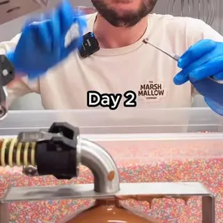Chocolate Coating a SINGLE Sprinkle.. Part 2 🍫

How many layers do you think this will take?