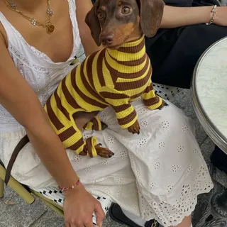 stripes are back💛