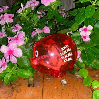 ASSC I NEVER PROMISED YOU A ROSE GARDEN 

Saturday 3/21:
antisocialsocialclub.com 8AM PST

Sunday 3/22:
antisocialsocialclub.jp 1AM JST