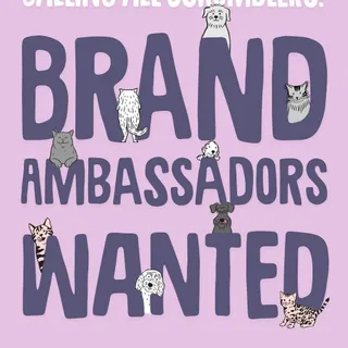 Calling all petfluencers! 📣 We’re on the prowl for some furbulous new faces to join our squad of Scrumbles Ambassadors! 🐈 🐕

WE'RE LOOKING FOR KITTIES AND POOCHES WHO…

🐱 Have a genuine love for our S