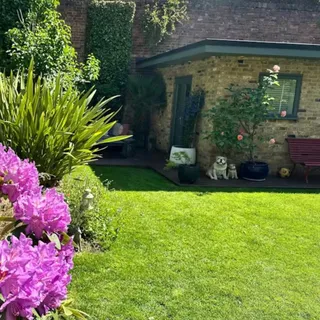 "After years of trying to get my lawn looking fabulous for my BBQ’s, I started using Lawn Pack in 2025 and the difference is amazing. The lawn looks fabulous and even through the winter, it survived t