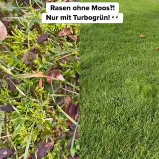 Darum lieben Kunden unseren Turbogrün Rasenkalk:
🌱 gesunder Rasen verdrängt Moos und Unkraut
🟢 pH-Wert wird erhöht & stärkt Düngewirkung
✅ 100 % natürlich – sicher für Kinder & Haustiere

🌿 Jetzt star