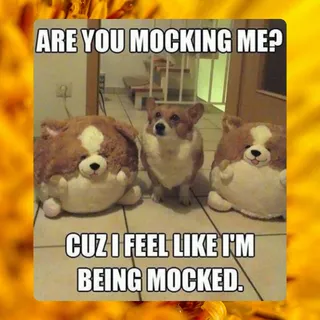 When your humans buy toys that look a little too familiar… 👀😂 #CorgiMood #PetHumour #OmniPets