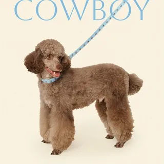 GIDDY UP⭐️

📸 @samgoldiloxx 
💅 @__sarahkerr 
🎨 @lys_bui 
🐶 @theralphielaurenpoodle @thechiefaroni @kellykre