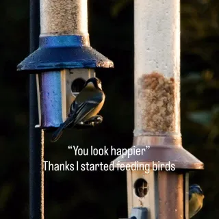 The joy of seeing the birds first thing in the morning 🤍🤍🤍