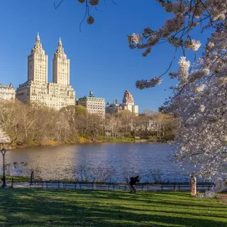 Happy #EarthDay from our patch of green! 🌎 💚 

From walks through the North Woods to runs along the Reservoir to simply basking on a bench, Central Park is here for you. 

The #CentralParkConservancy