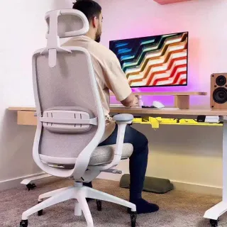 The DESKY COILFLEX™ Ergonomic Office Chair 🔥😮‍💨

Wheat features a modern, comfortable design with excellent back support and CoilFlex™ technology to distribute weight and reduce pressure.😍
It also inc