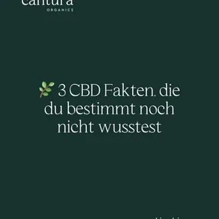 🌿 3 CBD Fakten, die viele immer noch falsch verstehen

CBD wird immer bekannter – aber rund um das Thema gibt es noch mindestens genauso viele Mythen wie Fakten. Deshalb hier drei Dinge, die du vielle