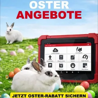 🐰 Osterangebote bei LAUNCH Europe
Spare bis zu 20 % auf ausgewählte Bundles und sichere dir starke Deals für deine Werkstatt.

🔧 Für Evo, 359 & 919S:
BST-360 & i-TPMS jetzt im Bundle günstiger

🎁 Für 