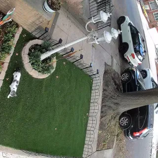 Ultrasonic Cat Repellent That Really Works - Sonic Barrier ZeroCat

Thanks to our customer Pete for the video and the great review! 

« The attached video says it all!!! Run, Run, Run Away!!! Wish I d
