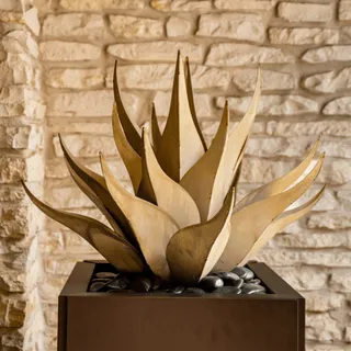 New to Desert Steel? 🌿The Sharkskin Agave is a good place to start.