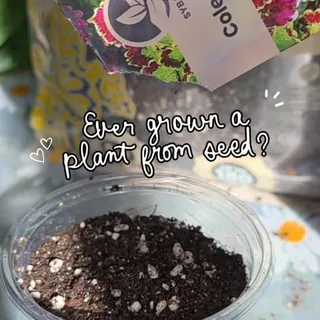 Would you try this? 👀

Comment “DETAILS” and I’ll send you everything I used.

Growing plants is fun… but growing them from seed is even better. There’s something so satisfying about watching these ti
