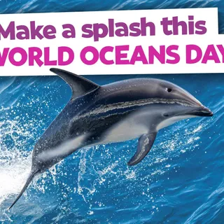Happy World Oceans Day! 🌍
NEWSFLASH: We’ve added fresh new questions to our Ocean Life category (perfect for juniors & teens!) along with new ocean-themed fun in Science & Nature, Where on Earth? & An