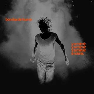 WTS, el colchón de la revolución. ¡Bomba de humo y a mimir!