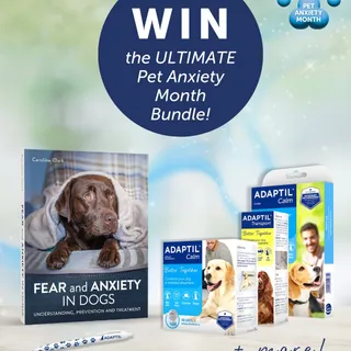 🐾 WIN the Ultimate Pet Anxiety Month Bundle! 🐾⁣
⁣
To celebrate Pet Anxiety Month, we’re giving one lucky winner the chance to receive the ultimate prize to help keep their dog calm, happy, and support