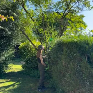 Collaboration commerciale avec Greenworks

😮 Quand t’as un grand jardin tailler ses haies, c’est clairement la corvée, en plus je suis loin d’être une pro du jardinage, mais avec les outils Greenworks