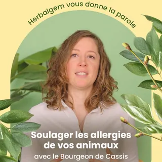 Et si les Bourgeons pouvaient aussi aider vos animaux ?

Découvrez le témoignage d’Anne-Lise et comment le Bourgeon de Cassis a soulagé les allergies de son chien.