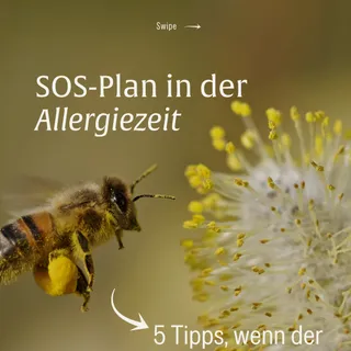 Fühlst du dich gerade eher wie ein laufender Pollenfilter als wie du selbst? 🤧🌼⁠
⁠
Allergiezeit kann ganz schön auslaugen. Aber: Du bist dem nicht einfach ausgeliefert. In unserem Post haben wir dir e