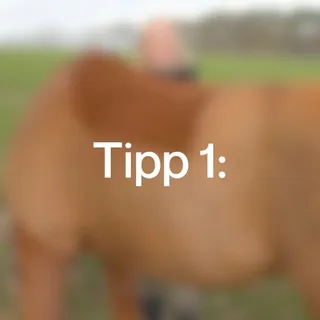 Hier unsere  3 Tipps, damit der Weidestart gelingt 🐴🌱

#kristallkraft #naturprodukte #pferdeliebe #pferdefütterung #fütternmitherzundverstand #natürlichepferdefütterung #ausliebezudeinempferd