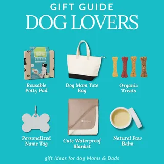 Looking for the perfect gift for the Dog Mom or Dad in your life? (Or just looking to treat yourself? No judgment here.) We’ve rounded up the essentials that every pet parent actually needs.

Our top 