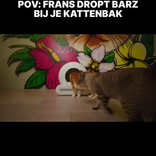 10% KORTING MET CODE PARRATV OP POOPY’S GEHELE KATTENZORG ASSORTIMENT 

*kortingscode verloopt zondag om 23.59