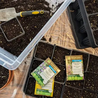 What does your indoor seed starting setup look like? What works for you? Is it orderly and organized, with neat cell trays and designated potting bench for filling them? Or is it a mix-match of whatev